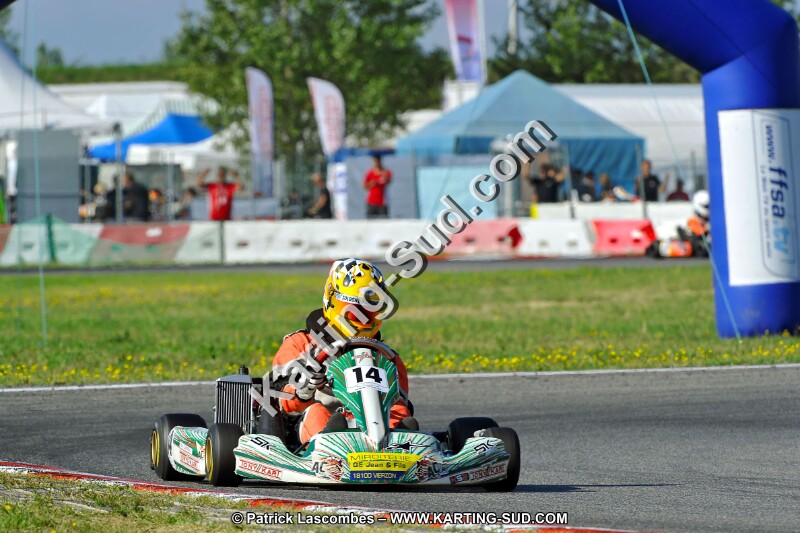 DSC_ (1038).jpg